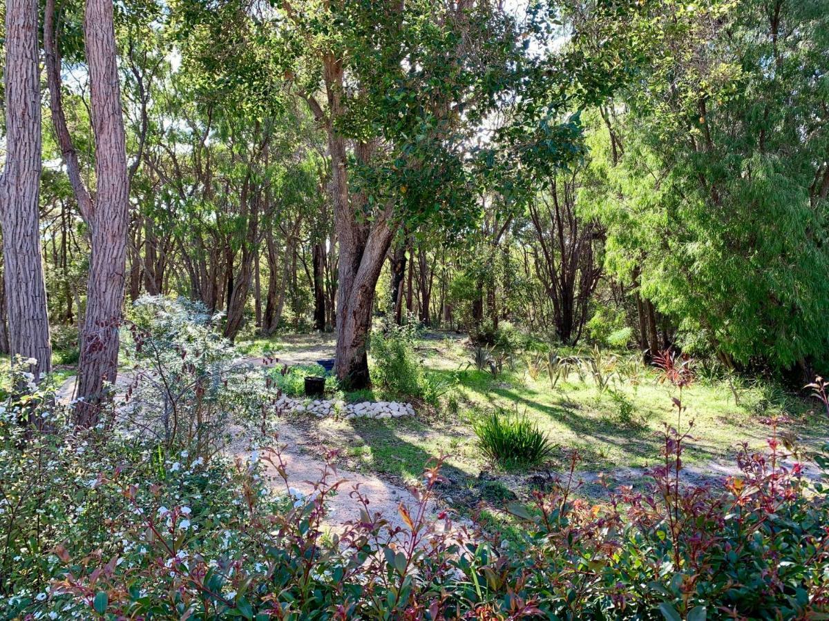 Bed and Breakfast Wilderness House Margaret River Exteriér fotografie